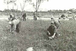 tomato-pickers.jpg (38882 bytes)