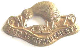WW1 NZ 17th Reinforcements Collar Badge