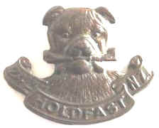 WW1 NZ 24th Reinfs Bronze Collar Badge