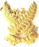 WW1 NZ 31st Reinforcements Collar Badge