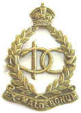SCARCE NZ Dental Corps 1st Patt Cap Badge