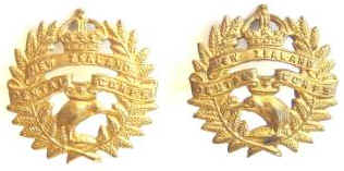 NZ Dental Corps Kiwi Centre Pair Brass Coll Badges